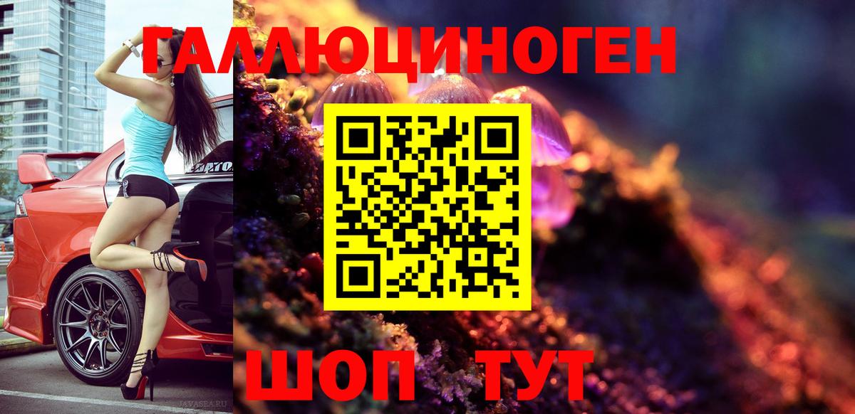 Новошахтинск  Псилоцибиновые грибы ЛСД  Галлюциногенные грибы прущие грибы  Вход с VPN 